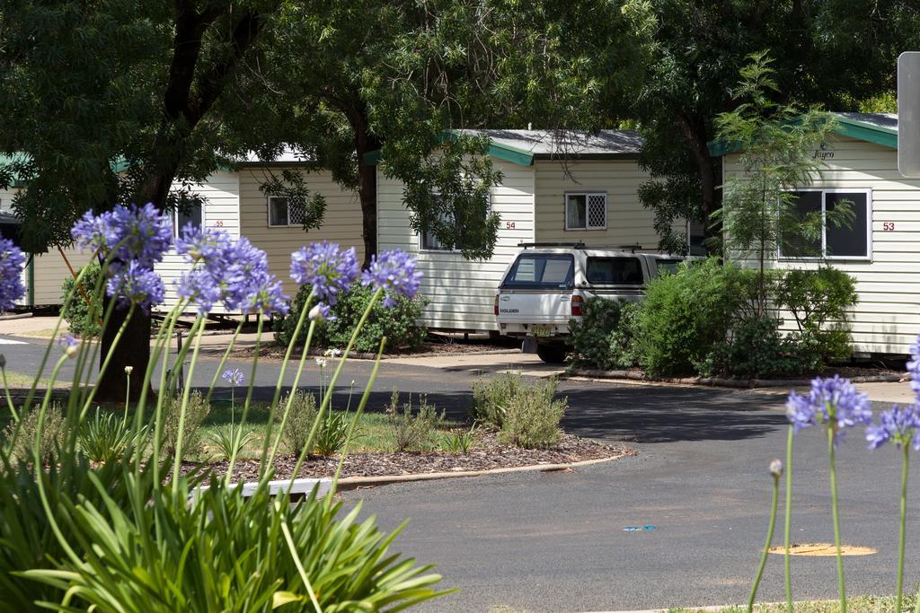 Nrma Dubbo Holiday Park Hotel Room photo